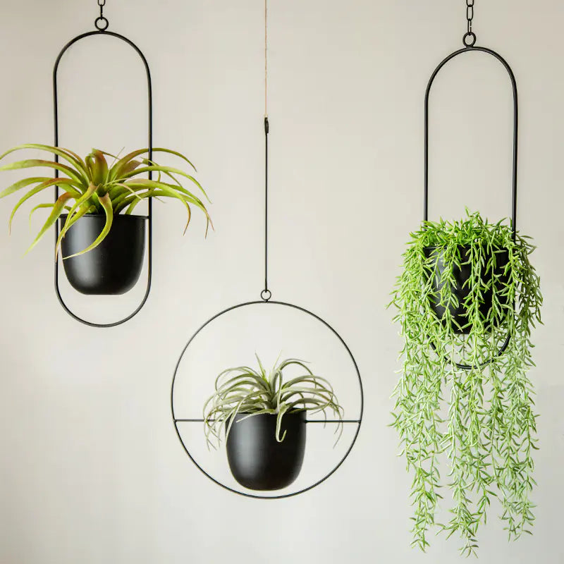 Iron Flower Pot for Indoor Plants.