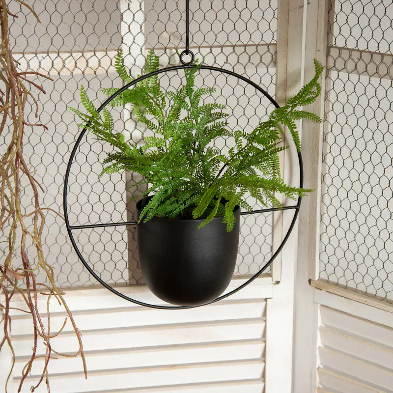 Iron Flower Pot for Indoor Plants.